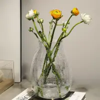在飛比找蝦皮購物優惠-冰裂紋水晶玻璃花瓶現代家居簡約餐桌插花花瓶