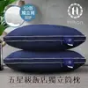 【Hilton 希爾頓】純棉表布獨立筒枕 100%五星級純棉立體枕 銀離子抑菌 枕頭 藍色(B0065-N)