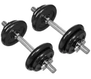 AmazonBasics Adjustable Dumbbells 38lbs with Case (SAME DAY SHIPPING)