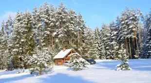Torvaaugu Holiday Homes