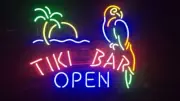 20"x16" Tiki Bar Open Parrot Palm Tree Neon Sign Light Lamp Business Beer LY