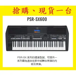 2023年新機YAMAHA PSR SX-600 SX600 電子琴【田田樂器】