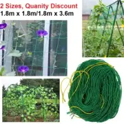 Veggie Patch Trellis Netting Climbing Garden Vine Net Tomato Zuchinni Cucumber