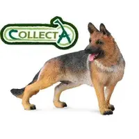 在飛比找蝦皮購物優惠-動物模型 CollectA 大狼犬(狗) 德國牧羊犬