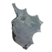 106.8g Muonionalusta meteorite part slice CC19