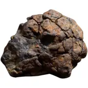 Teaching Specimen Meteorite Stone Classroom Teaching Iron