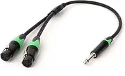 ROBAUN 1PC Audio Cable TS to XLR Y-Splitter 6.5mm TS Male to Dual XLR Male/Female for Microphone Cables Aluminum Metal Shel(Z01-D1001FX2-BKGN,0.29m)