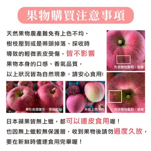 水果狼- 日本青森蜜蘋果 16-18顆裝 / 禮盒 5kg 免運 青森蘋果 (8.1折)
