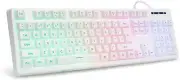 HUO JI White Gaming Keyboard USB Wired with Rainbow LED Backlit,