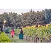 Save 9.99%! Afternoon in Siena and Chianti Wine Tour with Dinner from Florence