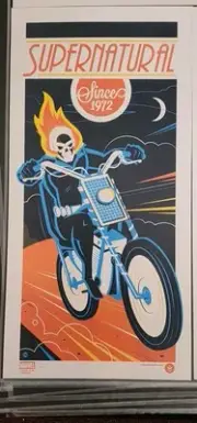 Ghost Rider Supernatural Dave Perillo 12x24 Poster Print Grey Matter 135/225