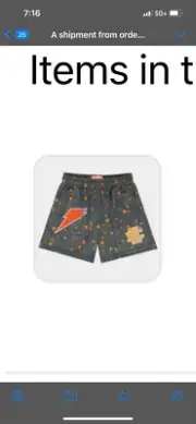 Eric Emanuel Gatorade XL Shorts Orange In Hand Limited Edition.