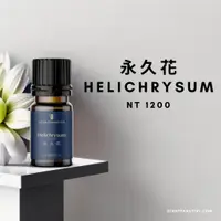 在飛比找蝦皮商城精選優惠-【詩梵娜香氛】永久花精油 10ml | Helichrysu