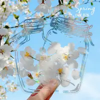 在飛比找Yahoo!奇摩拍賣優惠-干花透明書簽手工diy材料收集鮮花樹葉標本塑封膜玻璃創意DI