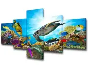 Underwater World Picture Turtle and Fish Paintings House Decoration Living Ro...