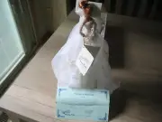 Duck House Heirloom Doll - Blanche - Decor Only - Certificate of Authenticity