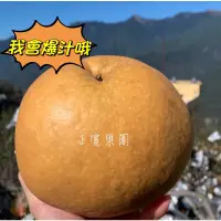 在飛比找蝦皮購物優惠-💯純正慢熬雪梨膏即將開賣💯🍐免運梨山爆汁蜜雪梨B級🍐-B級賣