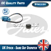 Fits Renault Clio 1998-2014 1.0 1.1 1.2 Alternator Belt Kit Stallex #2