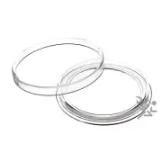 (5) $10 Casino Silver Strikes Capsules, AirTite Holders 43.6mm Direct Fit