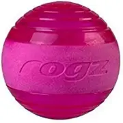 Squeak Fetch Ball Dog Toy Pink Medium