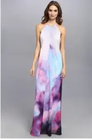 NEW Ted Baker Alexxis Summer At Dusk Print Maxi Dress STUNNING 0-2