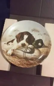 Knowles collector plate "DOG TIRED-THE SPRINGER SPANIEL"