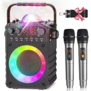 Karaoke Machine for Adult, Home Karaoke System with 2 Wireless Karaoke Microphon