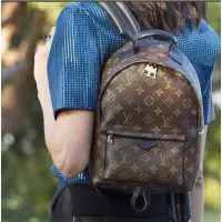 在飛比找Yahoo!奇摩拍賣優惠-Louis Vuitton M41560 Palm Spri