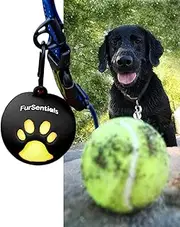 3 Dog Squeaky Tennis Balls + Silicone Dog Ball Holder for Dog Leash - with Carabinar Attachment Clip - Squeaky Dog Toy Balls with Holder for Hands-Free Dog Walking Accessory_Black Ball Buddy Trio