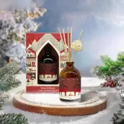 Liquid Reed Diffuser Sets 100ml Fragrance New Oil Perfume Set Home Decoration