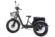 Kristall EX200 20" Electric Trike Tricycle 3 Wheeler Cycle 1000W 100km 48V 20AH