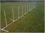 Dog Agility Equipment 12 Weave Poles Adjustable Angle and Spacing FREE US SHIP