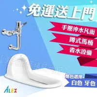 在飛比找Yahoo!奇摩拍賣優惠-ALEX 電光牌 AC5125-A 蹲式馬桶 蹲便 手壓沖水