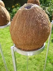 Set of 3 Coconut Shy Posts - 1m Long - Fair Games Outdoor - Great for Carnivals, Fetes and Fundraising