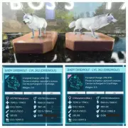 ARK ASCENDED PVE OFFICIAL PAIR BABY DIREWOLF ALBINO NEW TOP STATUS PC/XBOX/PS5