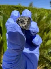 meteorite:Hassi Khebi 001::Weight 2.263:Mini Endcut W Beautiful Matrix!!!