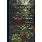 THE STRUCTURE AND THE DEVELOPMENT OF THE FLOWERS IN TYPHA LATIFOLIA