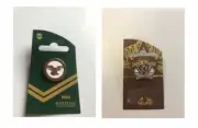 SET OF 2 MANLY SEA EAGLES NRL TEAM HERITAGE LOGO PIN BADGE & CENTENARY PIN