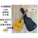 『立恩樂器』古典吉他 YAMAHA C40MII 合板 雲杉木 含原廠琴袋 古典 尼龍 印尼製 C40