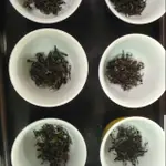 東方美人茶 包種茶 蜜香紅茶 梨山烏龍茶150G