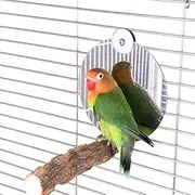Bird Mirror with Perch,4 inch Stainless Steel Parrot Mirror Toys for Greys Amazons Parakeet Cockatiel Conure Lovebirds Finch Canaries (4inch with Perch)