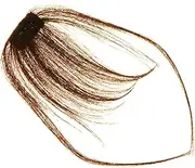 Healvian Natural Clip Air Bangs Hair Extensions for Women Light Fringe Hairpiece with Side Swept Edges Easy Snap Hair Clips for and Versatility