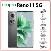 NEW OPPO Reno11 5G 12GB+256GB GREY GLOBAL Ver. Dual SIM Android Cell Phone