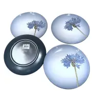 Noritake Colorwave Floral Accent Plate Blue Corn Flower Lot of 2 NEW