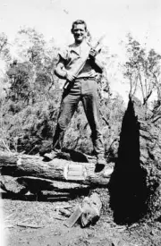 Red Cliffs District Victoria 1925 - A man chopping a log while cle- Old Photo