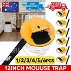 Mouse Trap Flip Slide Bucket Lid Mouse Rat Trap With Ladder Mousetrap Catcher AU