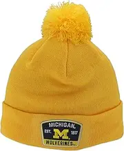 Zephyr NCAA Officially Licensed Pom Beanie Patch Switchback Secondary Color
