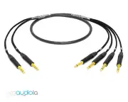 Mogami 2931 2 Channel Insert Cable | Neutrik Gold TRS to TS | 6 Feet 6 Ft. 6'