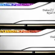 G.SKILL F5-6400J3039G16GX2-TR5NS GB (2 x 16GB)/ DDR5 6400 MT/s/ Timings 30-39-39-102/ Voltage 1.4V/ TZ5 ROYAL N S.