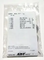 33953 SEAL KIT FOR CAT PUMP HIGH TEMP 2SF AND 2SFX 2SFX25GZ & 30GZ SERIES